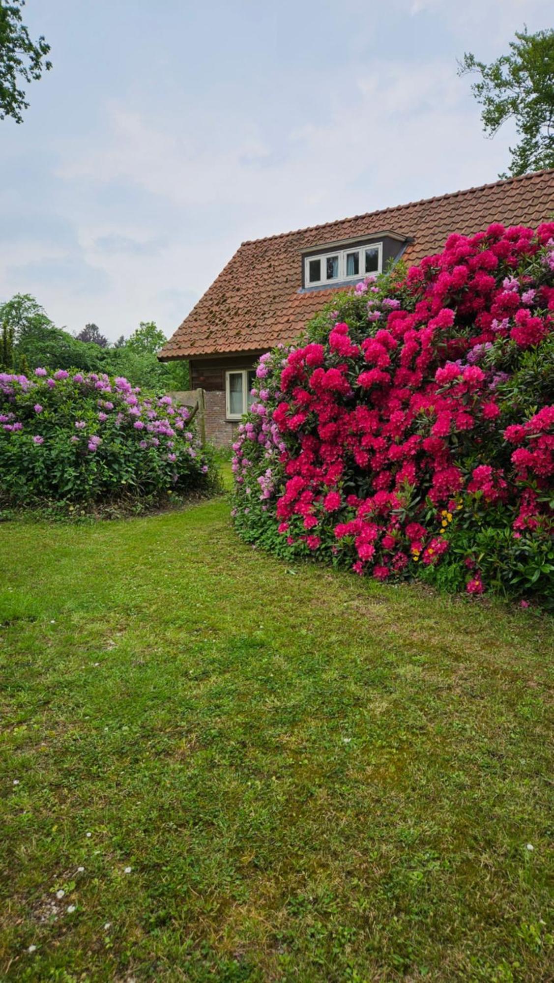 Holiday Home Countryside, Langbroek / Doorn Exterior photo