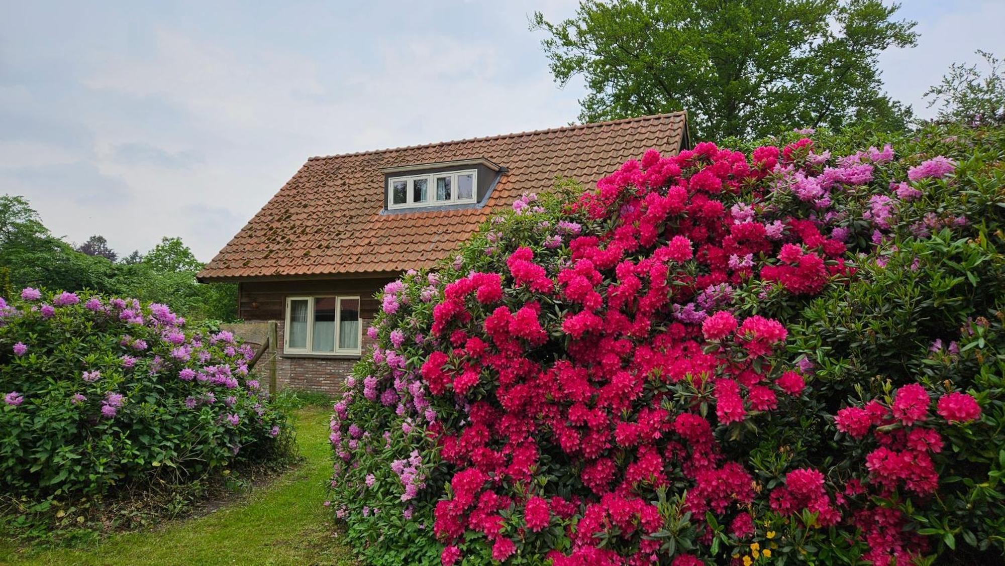 Holiday Home Countryside, Langbroek / Doorn Exterior photo
